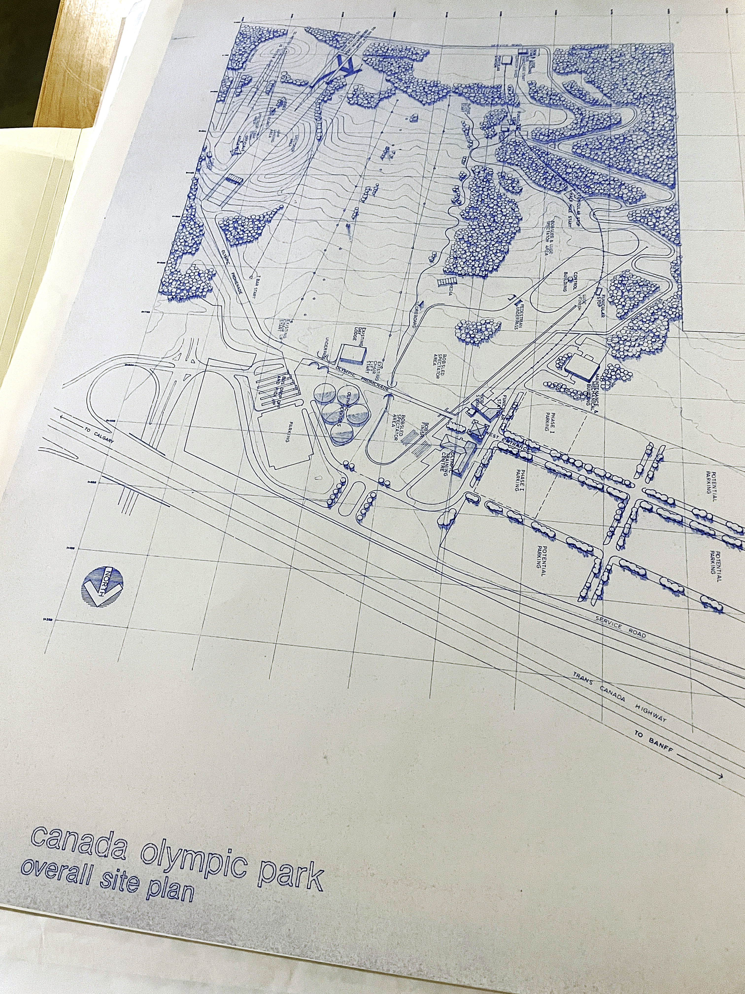 McDougall Calgary Olympic plan